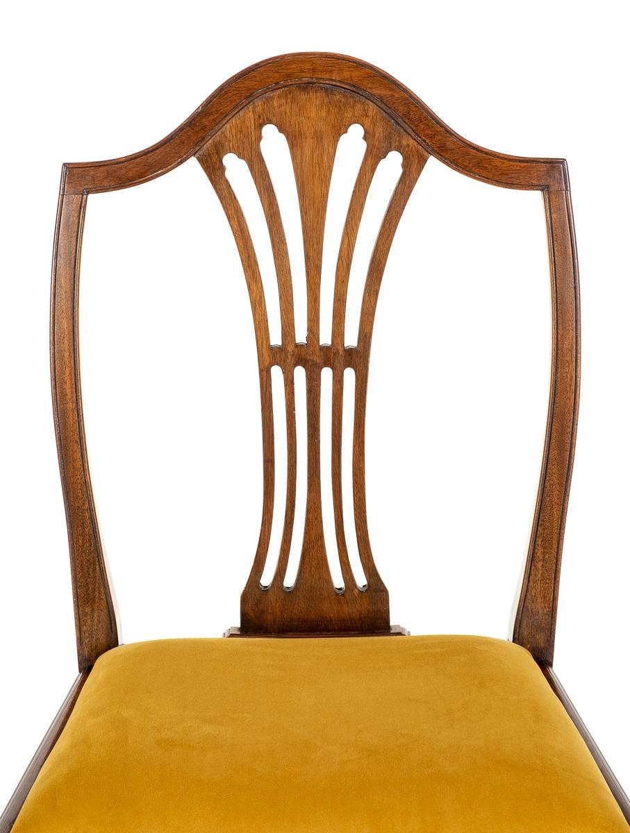Set of 8 ( 6 + 2 )Hepplewhite Revival Mahogany Dining Chairs