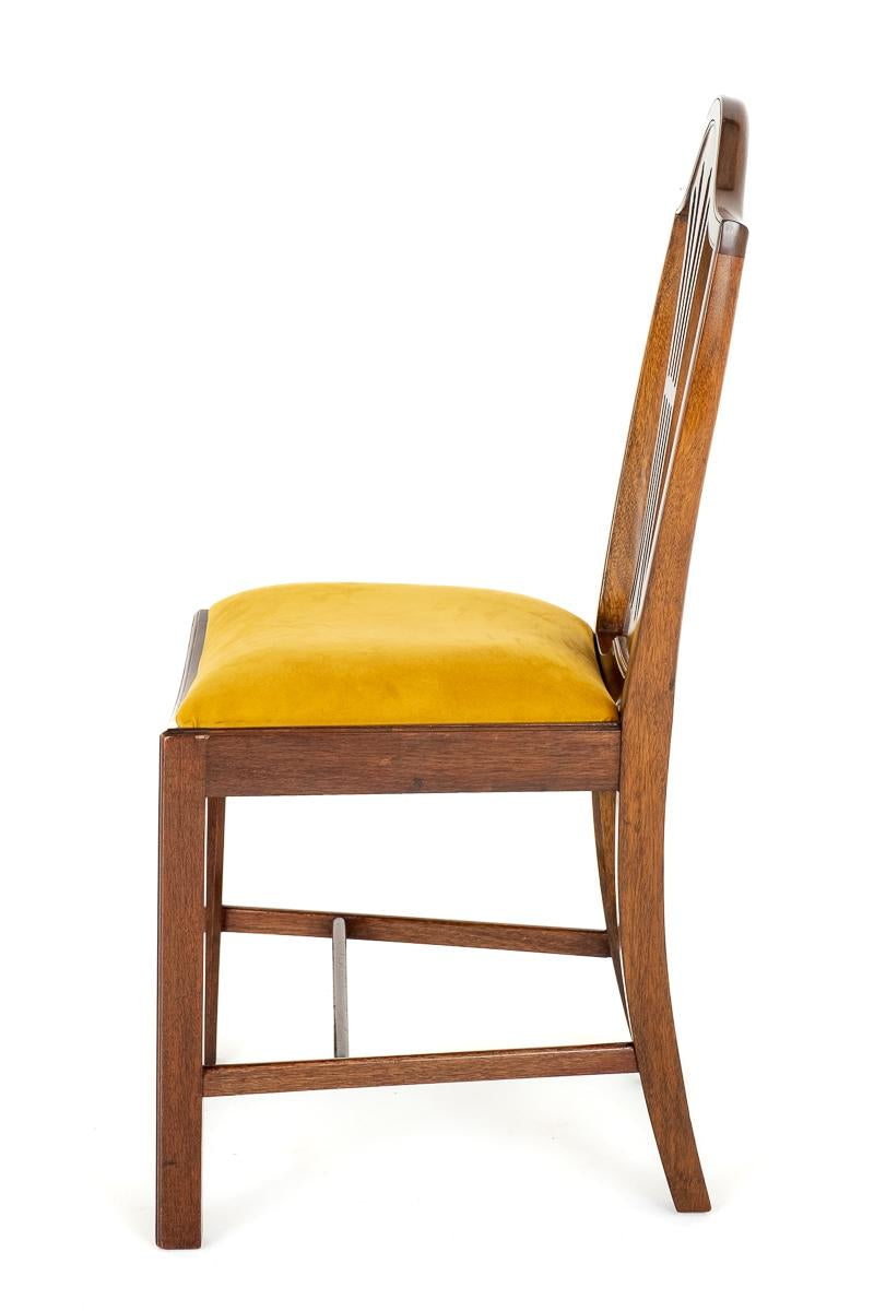 Set of 8 ( 6 + 2 )Hepplewhite Revival Mahogany Dining Chairs