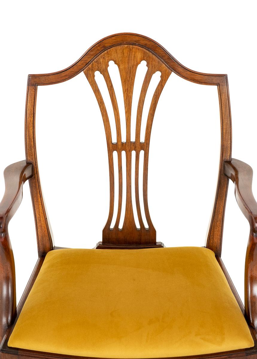 Set of 8 ( 6 + 2 )Hepplewhite Revival Mahogany Dining Chairs