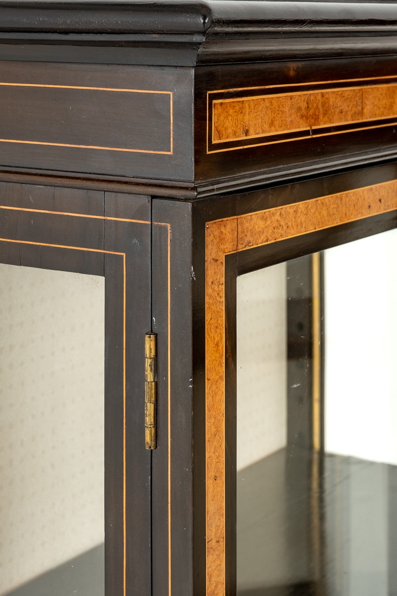 Pair of Victorian Walnut and Ebonised Display Cabinets