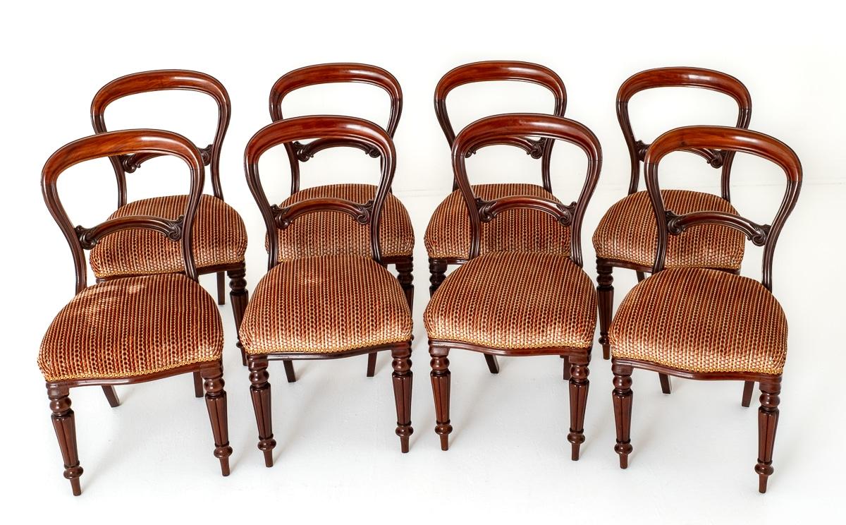 Set of 8 Early Victorian Mahogany Balloon Back Dining Chairs