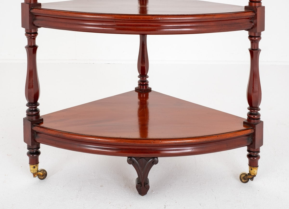 Large Victorian Mahogany Whatnot