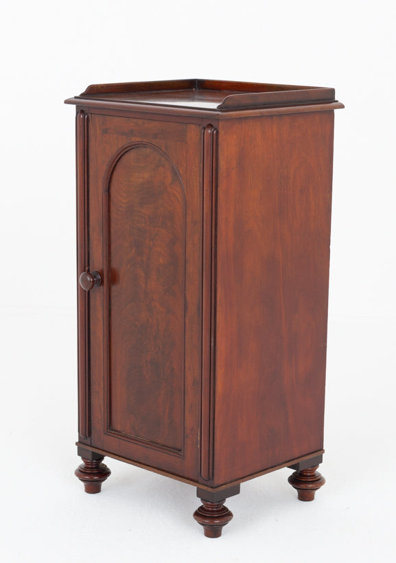 William IV Mahogany Bedside Cabinet