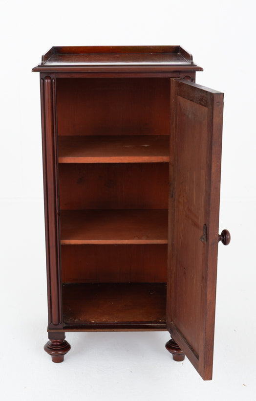 William IV Mahogany Bedside Cabinet