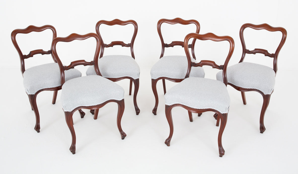 Set of 6 Mahogany Dining Chairs