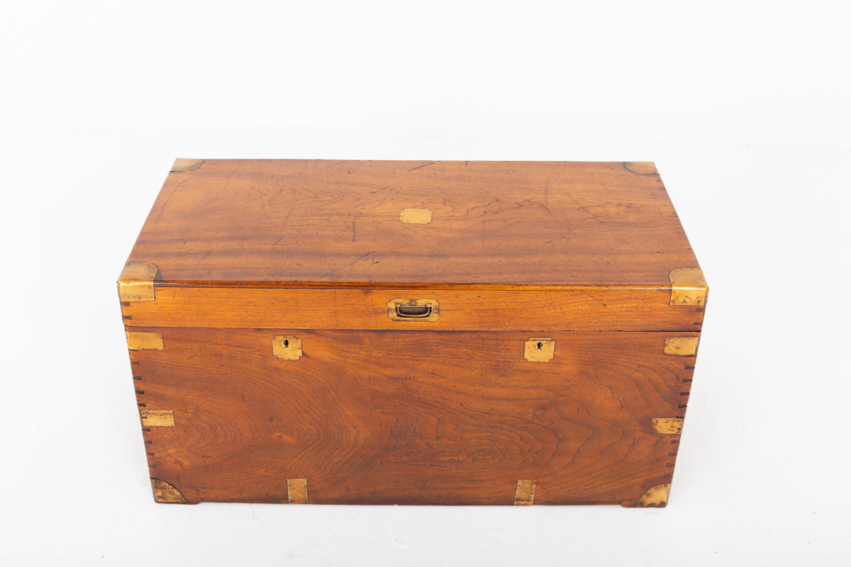Camphor Wood Military Campaign Trunk