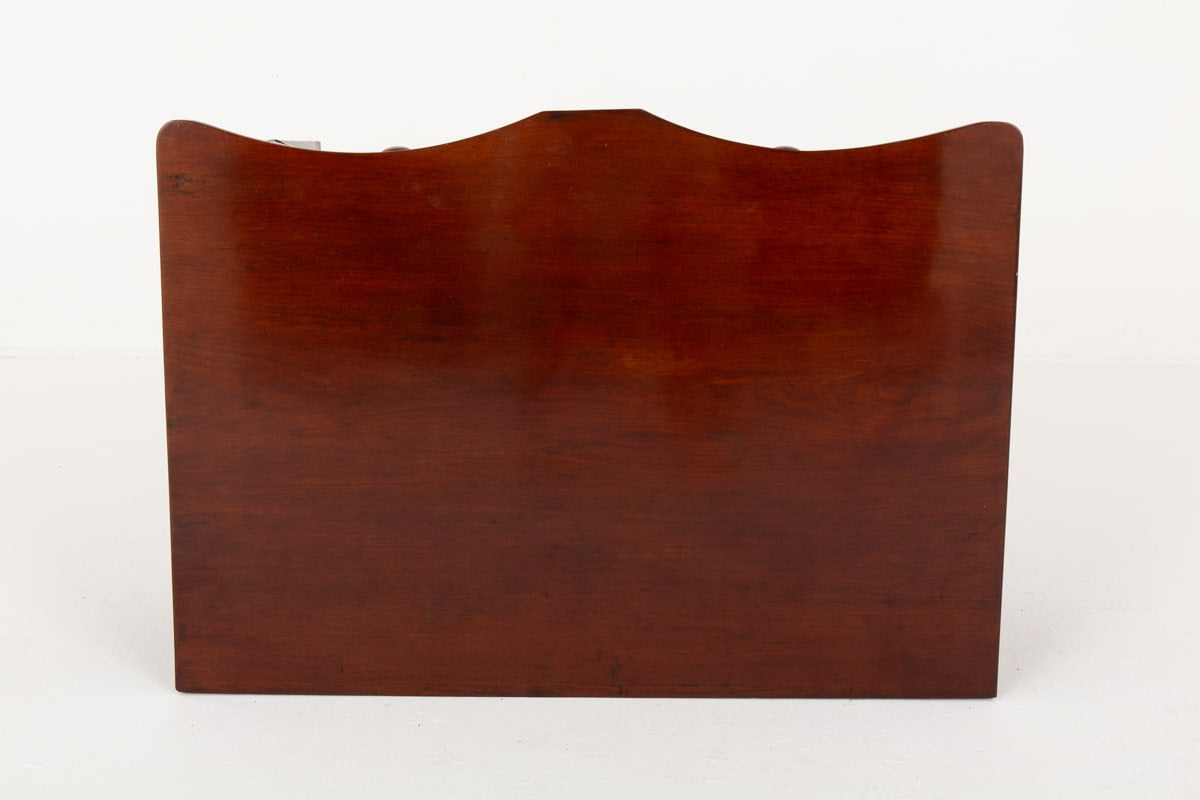 Rather Unusual Mahogany Sheraton Revival Side Cabinet
