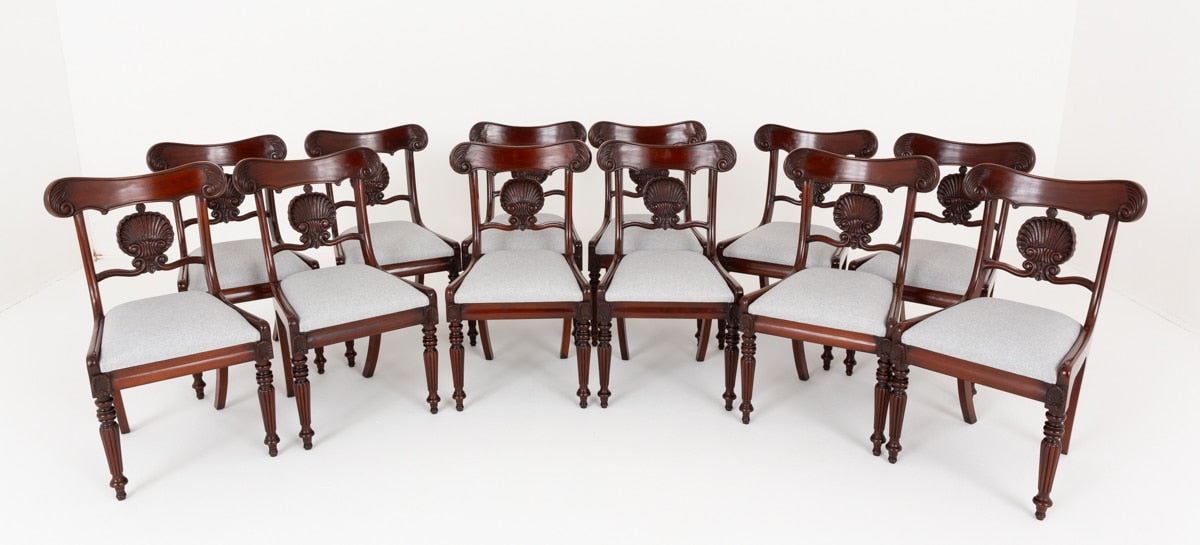 Set of 12 William IV Style Mahogany Shell Back Dining Chairs