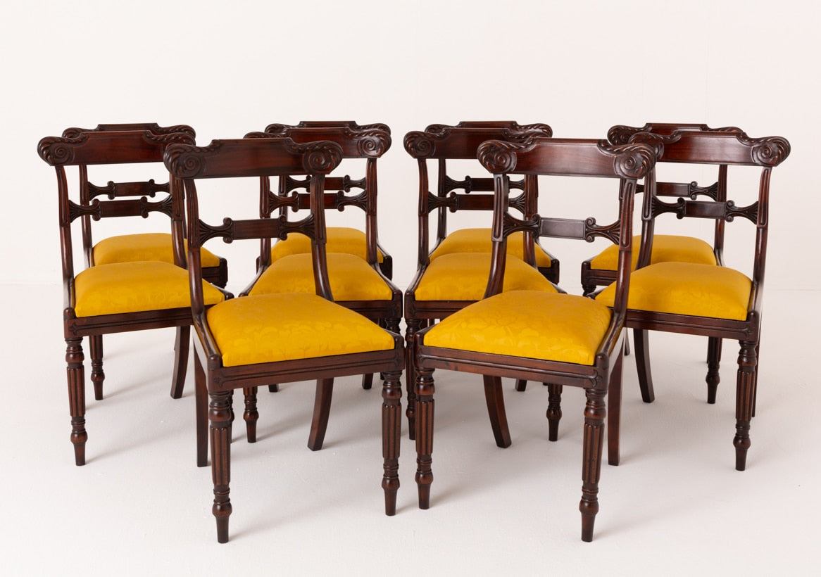 Set of 10 William IV Style Mahogany Dining Chairs