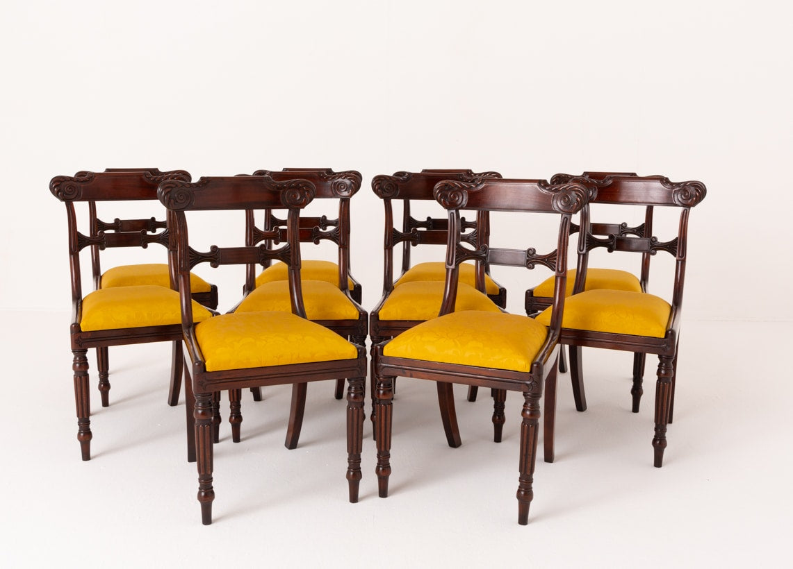 Set of 10 William IV Style Mahogany Dining Chairs