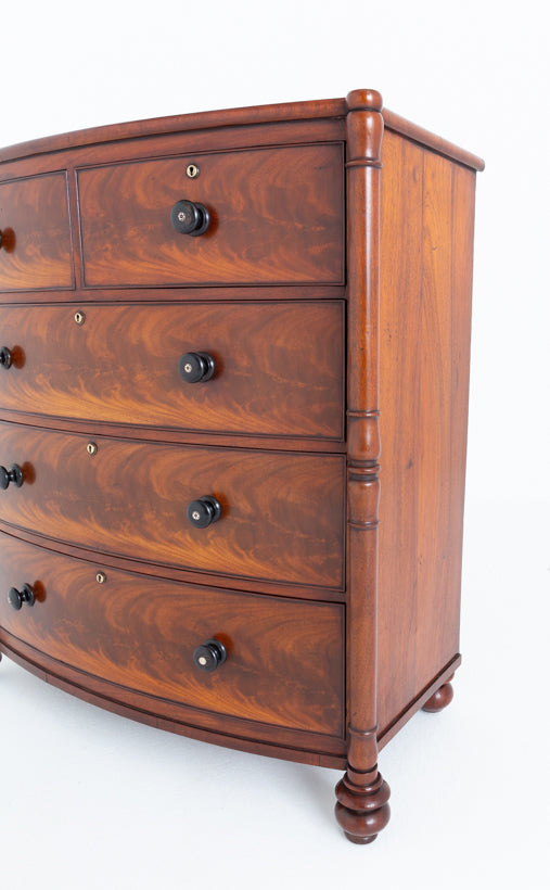 William IV Mahogany Bow Chest of Drawers