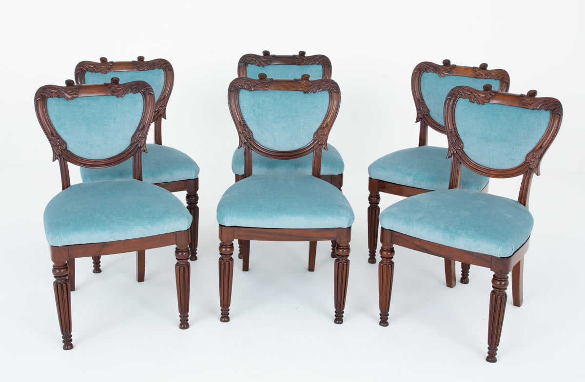 Wonderful Set of William IV Rosewood Dining Chairs