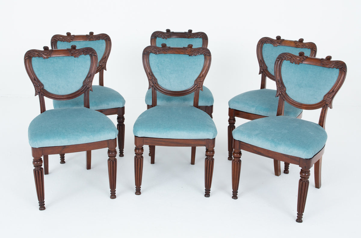 Wonderful Set of William IV Rosewood Dining Chairs