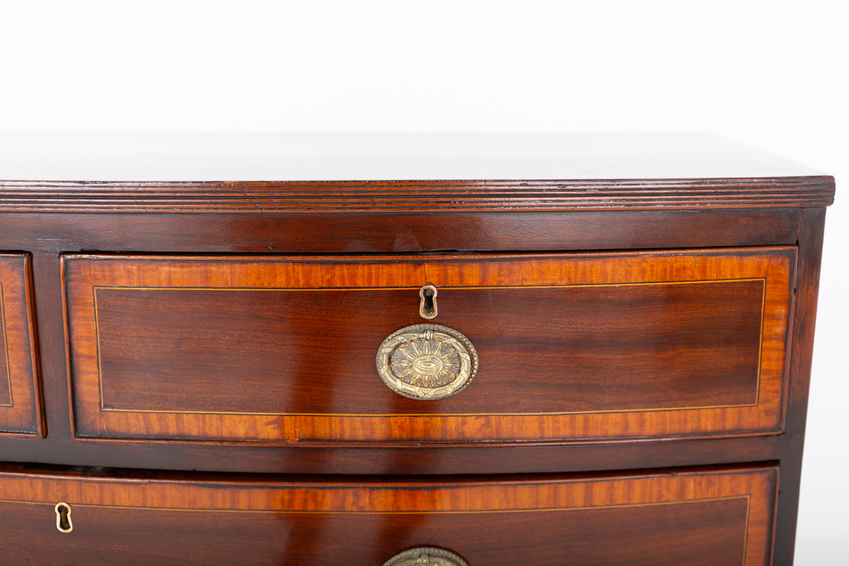 Regency Mahogany Bow Fronted Chest of Drawers