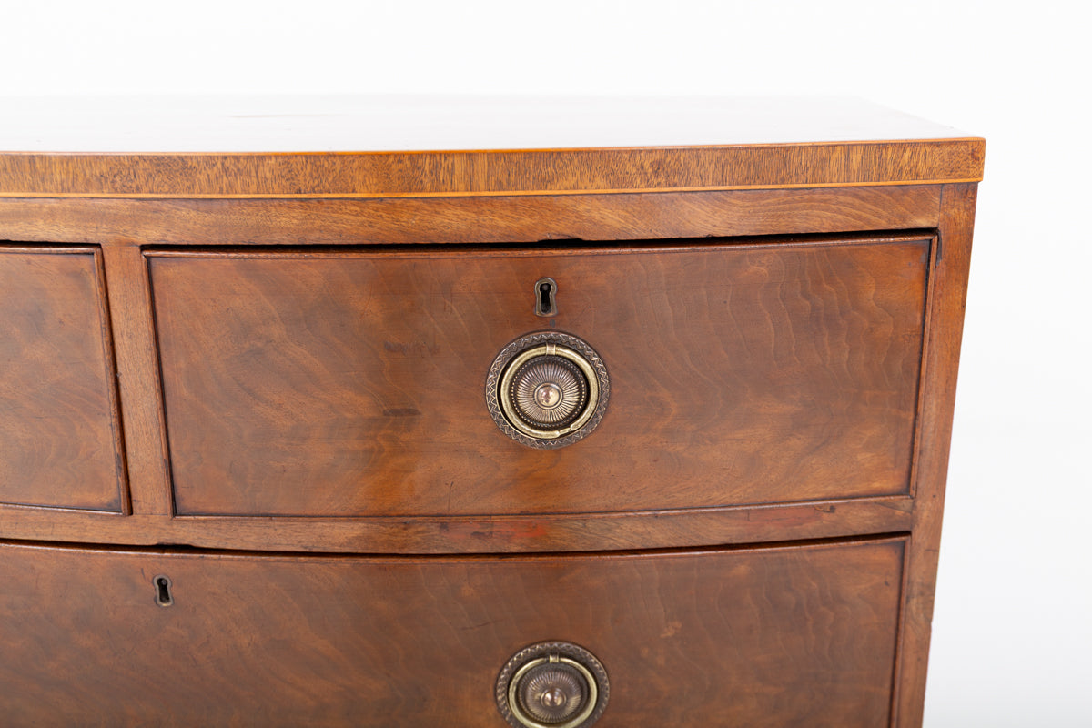 Regency Mahogany Bow Front Chest of Drawers