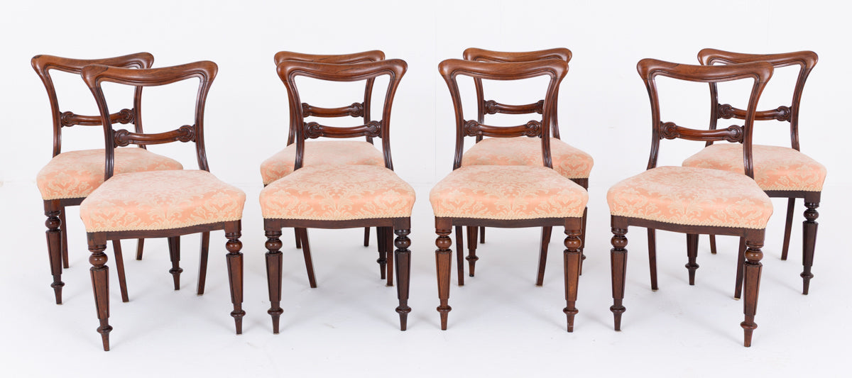 Good Set of 8 William IV Mahogany Dining Chairs