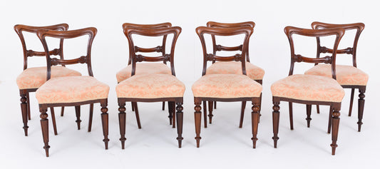 Good Set of 8 William IV Mahogany Dining Chairs