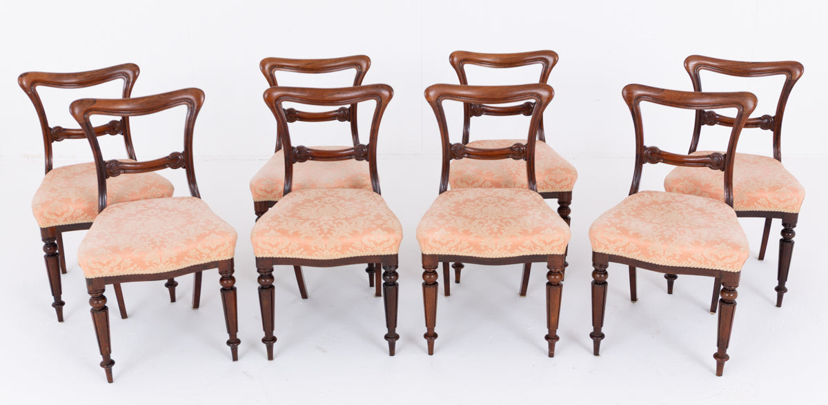 Good Set of 8 William IV Mahogany Dining Chairs