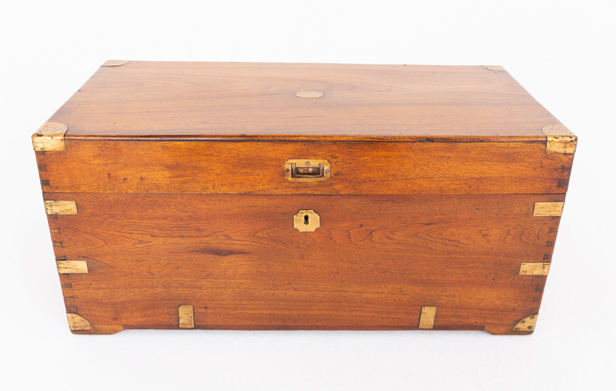 Camphor Wood Military Campaign Trunk