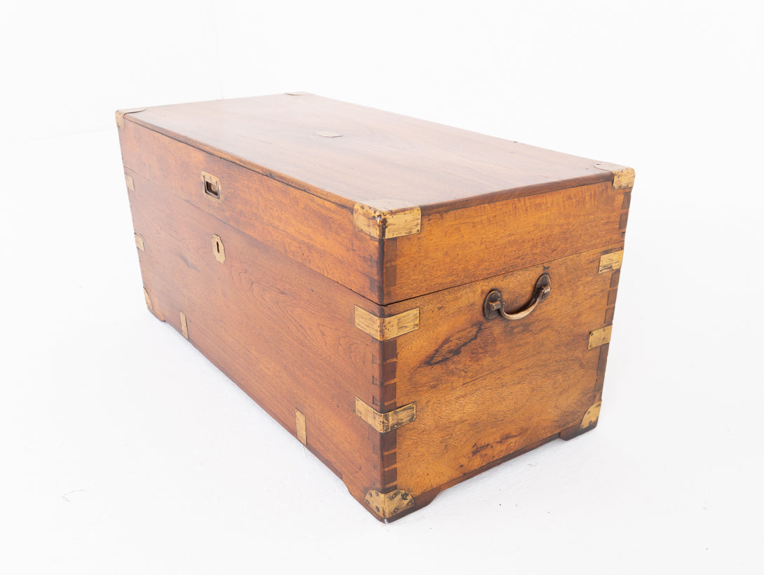 Camphor Wood Military Campaign Trunk