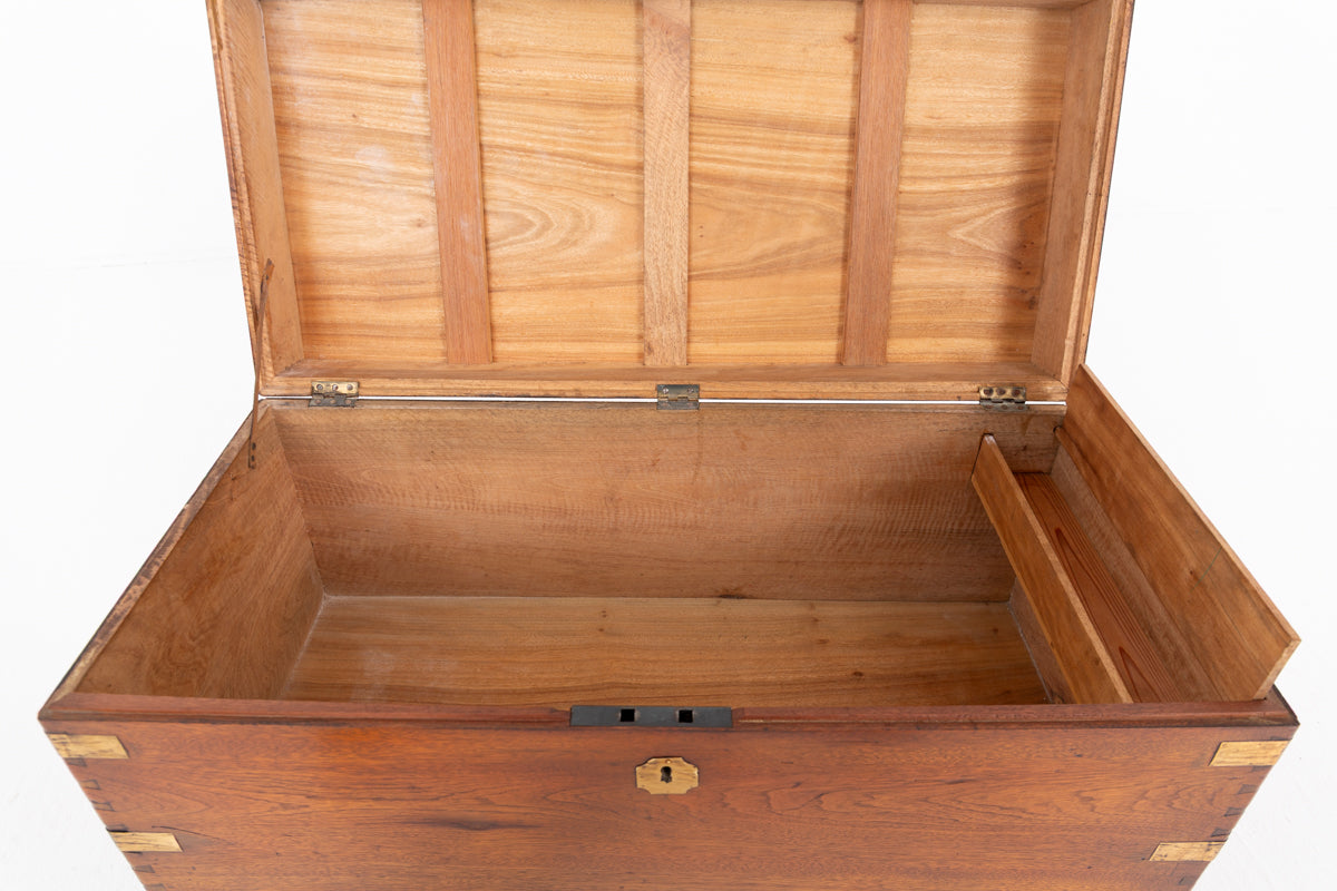 Camphor Wood Military Campaign Trunk