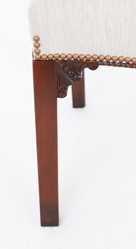 Good Set of 12 (10 + 2 ) Mahogany Gothic Style Dining Chairs