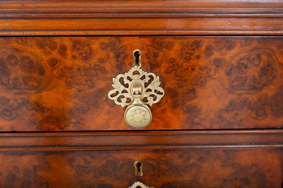 Burr Walnut Queen Anne Style Desk