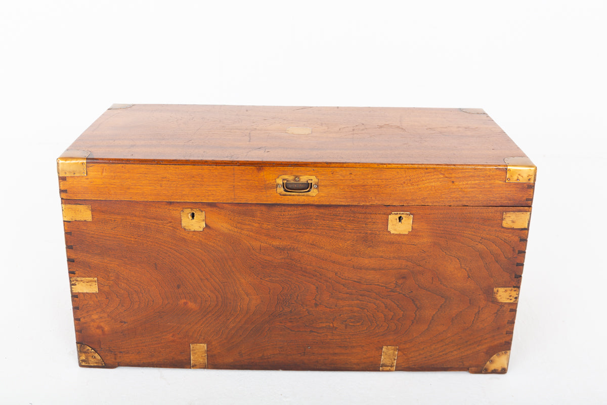 Camphor Wood Military Campaign Trunk