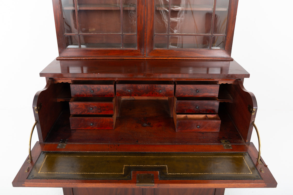 William IV Mahogany Secretaire Bookcase
