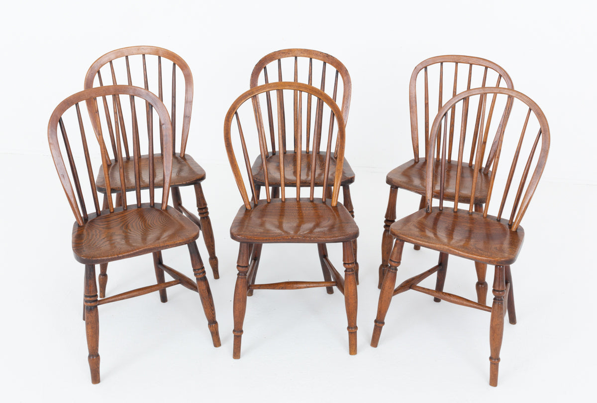 Harlequin Set of 6 Ash Windsor Chairs